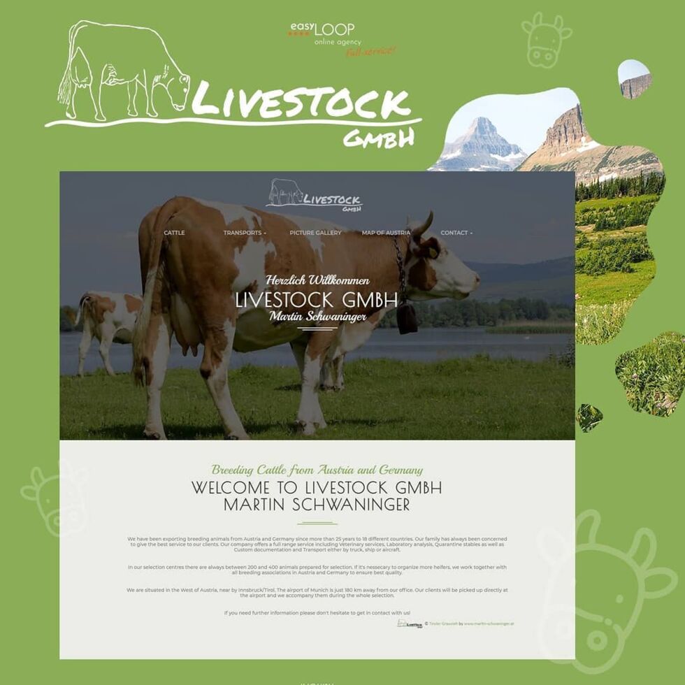 Projektpräsentation - 4