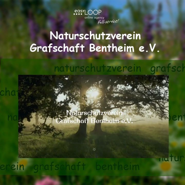 Projektpräsentation - 8