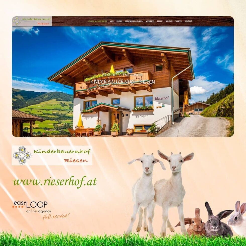 Projektpräsentation - 11