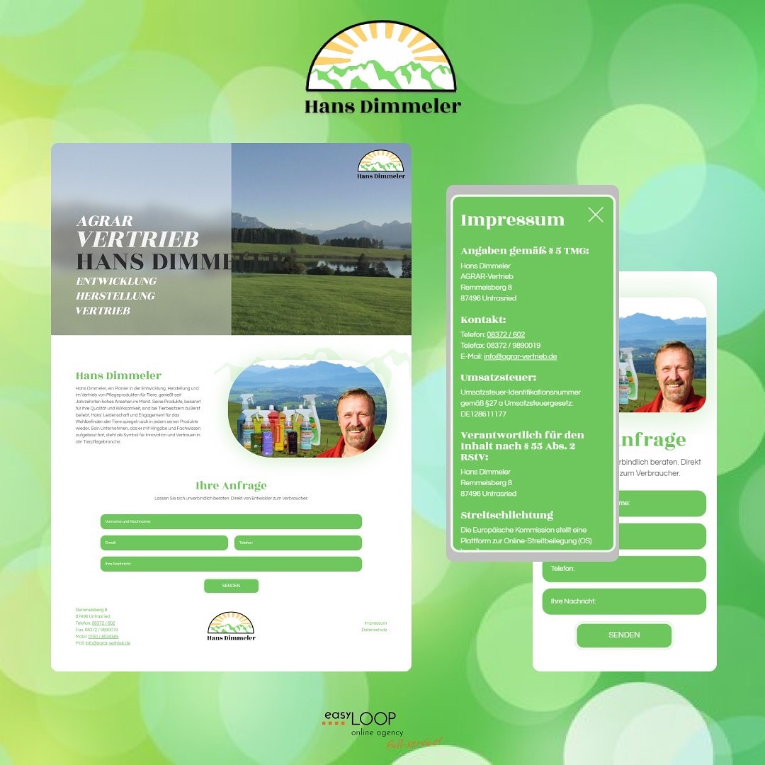 Projektpräsentation - 0