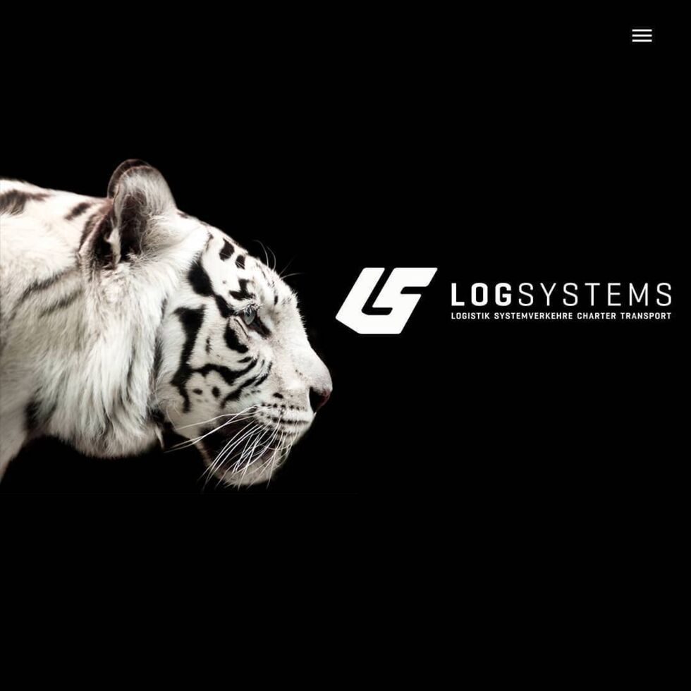 Projektpräsentation - 8