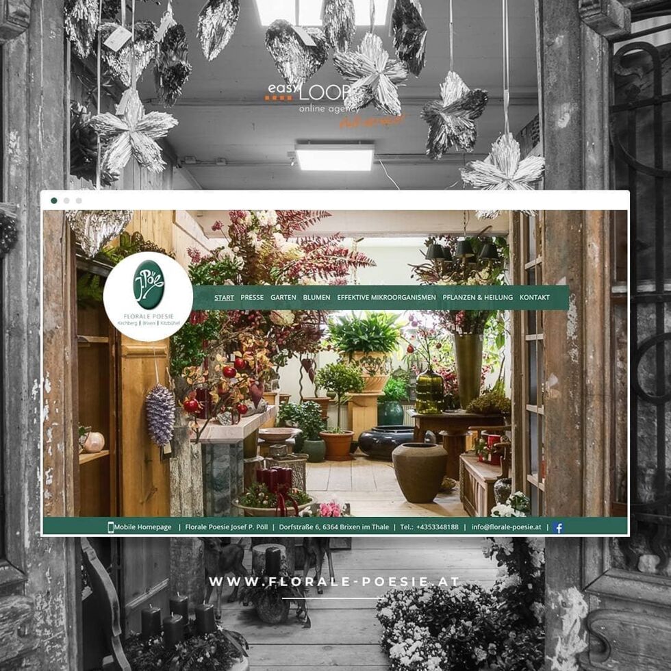 Projektpräsentation - 11